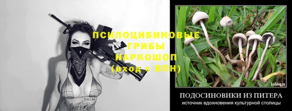 гашик Лагань