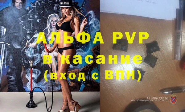 Альфа ПВП Ладушкин