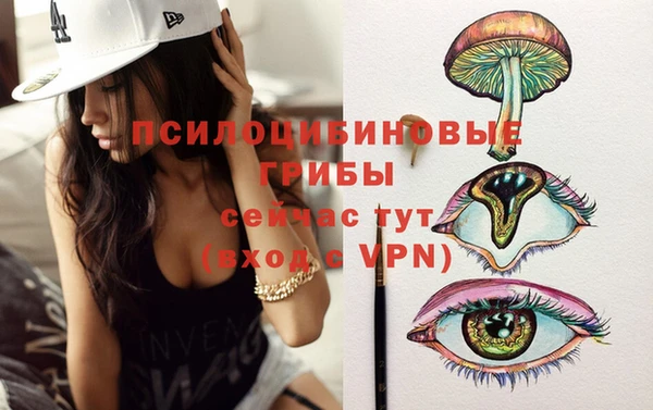 Альфа ПВП Ладушкин