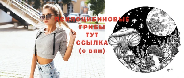 гашик Лагань