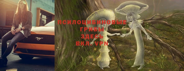 Альфа ПВП Ладушкин